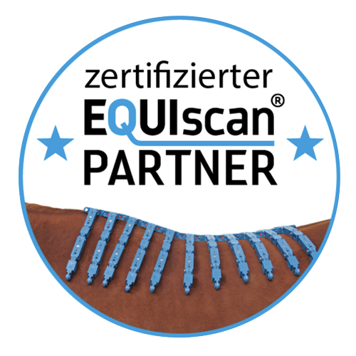 EQUIscan: zertifzierte Partnerin Meike Freischlader
